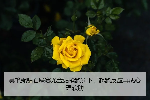 wu-yan-ni-zuan-shi-lian-sai-you-jin-zhan-qiang-pao-fa-xia-qi-pao-fan-ying-zai-cheng-xin-li-ruan-lei-2-307.jpg